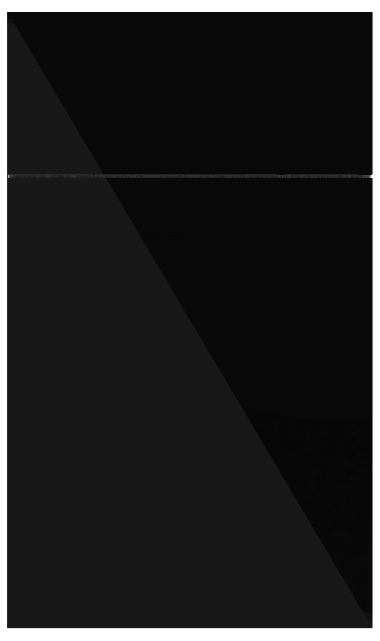 Black Gloss